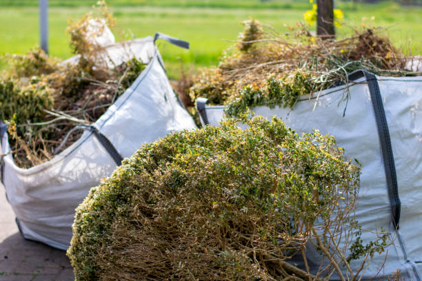  Ionia, MI Junk Removal Pros