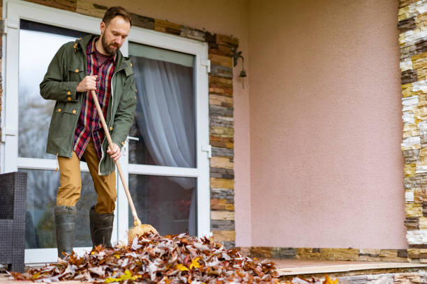 Best Affordable Junk Removal Services  in Ionia, MI